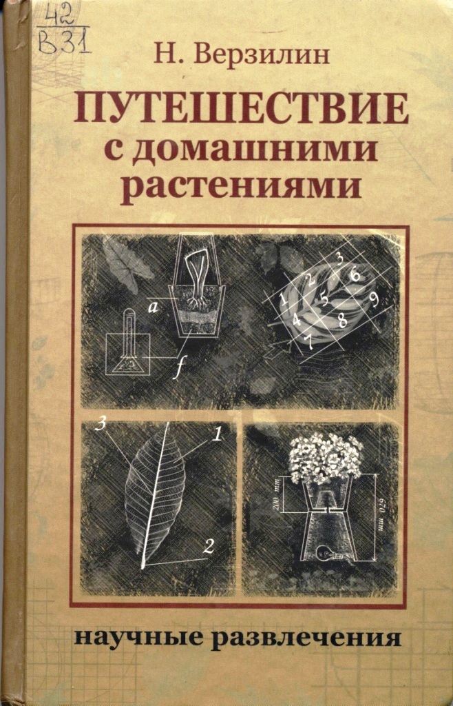 2460578.jpg